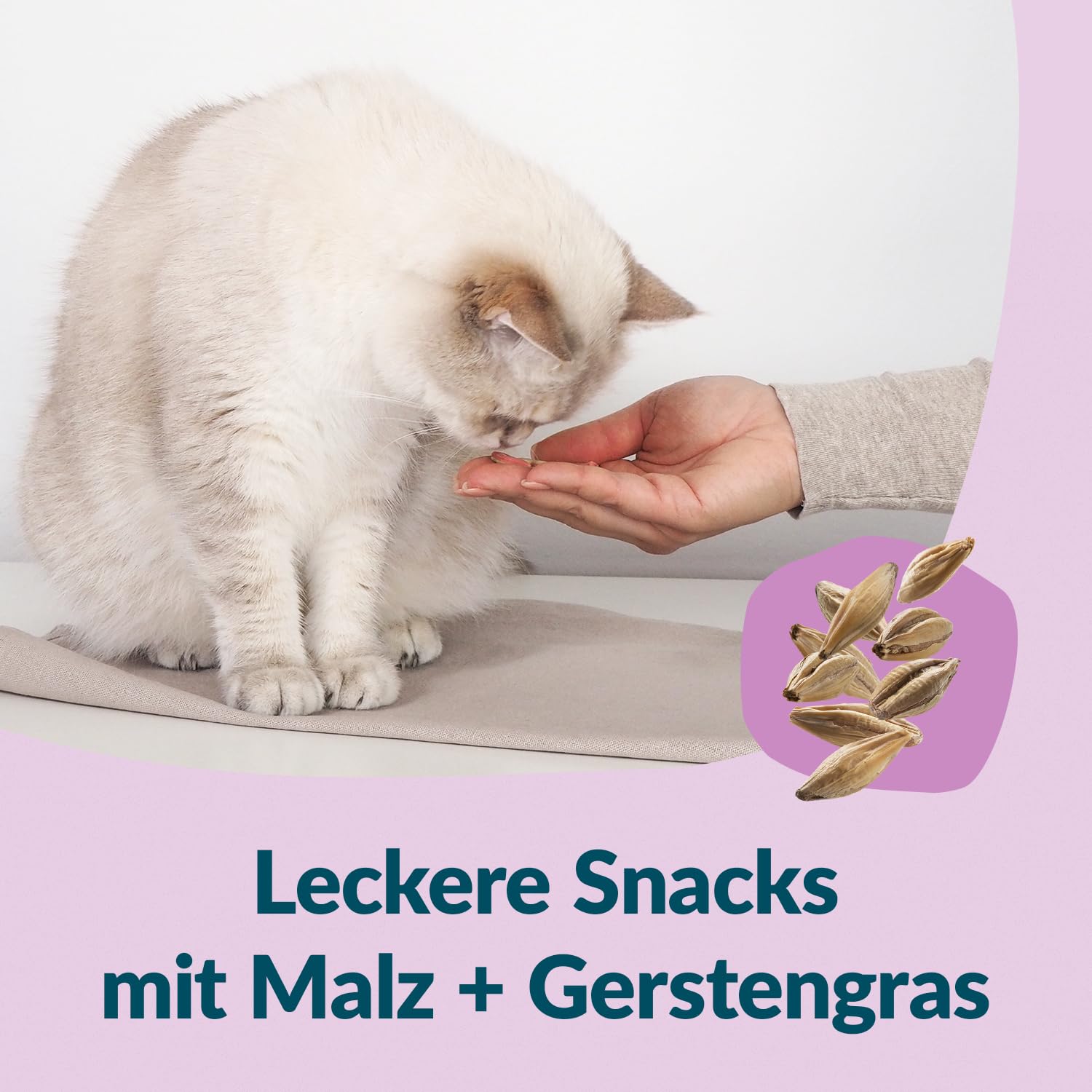 gimcat-nutri-malt-bites-friandises-malt-digestion-chat-425-g image 4