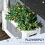 pawhut-maison-chat-ext-rieur-avec-toit-imperm-able-et-entr-es-multiples-gris image 7