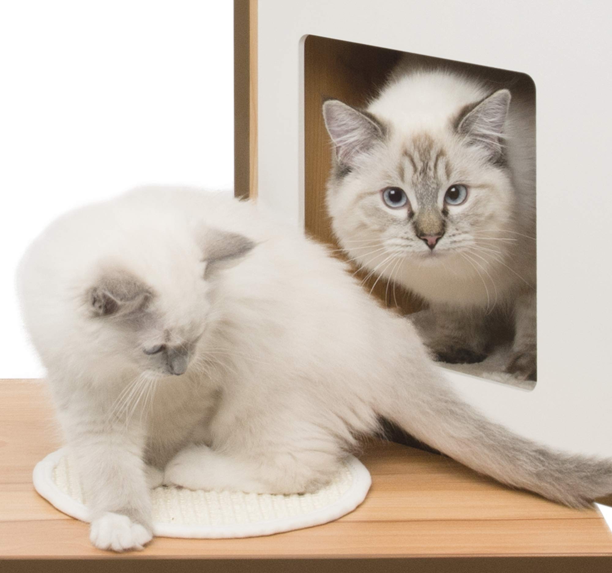 catit-vesper-double-52048-arbre-chat-double-noyer image 2