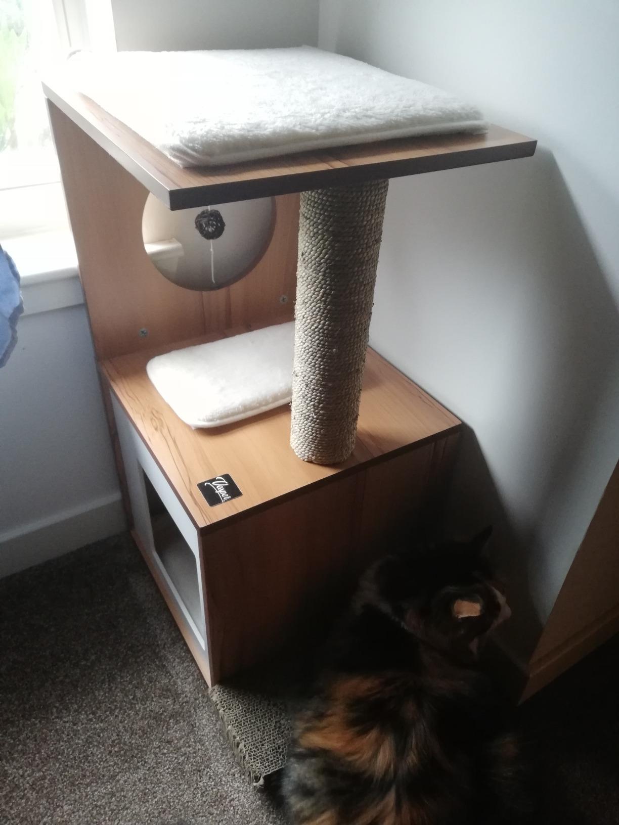 Bien pour chat calme