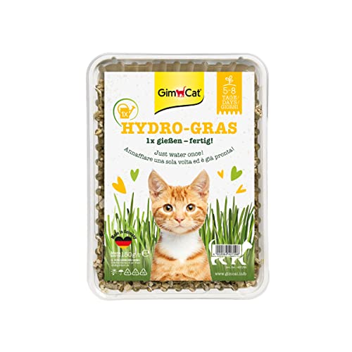 gimcat-hydro-gras-herbe-chat-fra-che-cultiver-150-g image 8