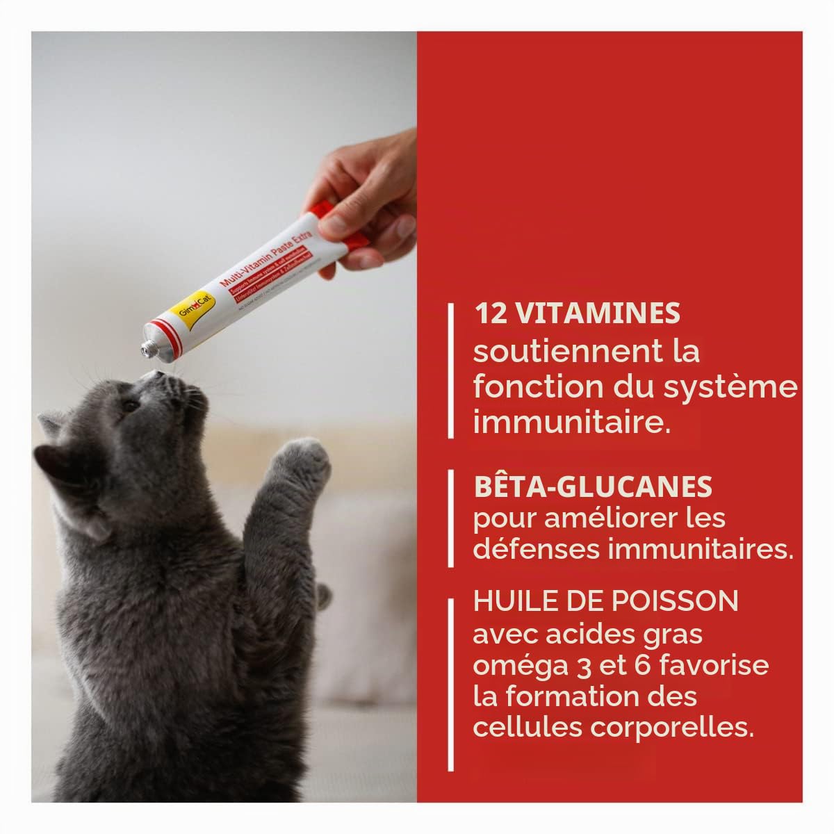 gimcat-p-te-multi-vitamin-extra-100-g-snack-immunit-chat image 3