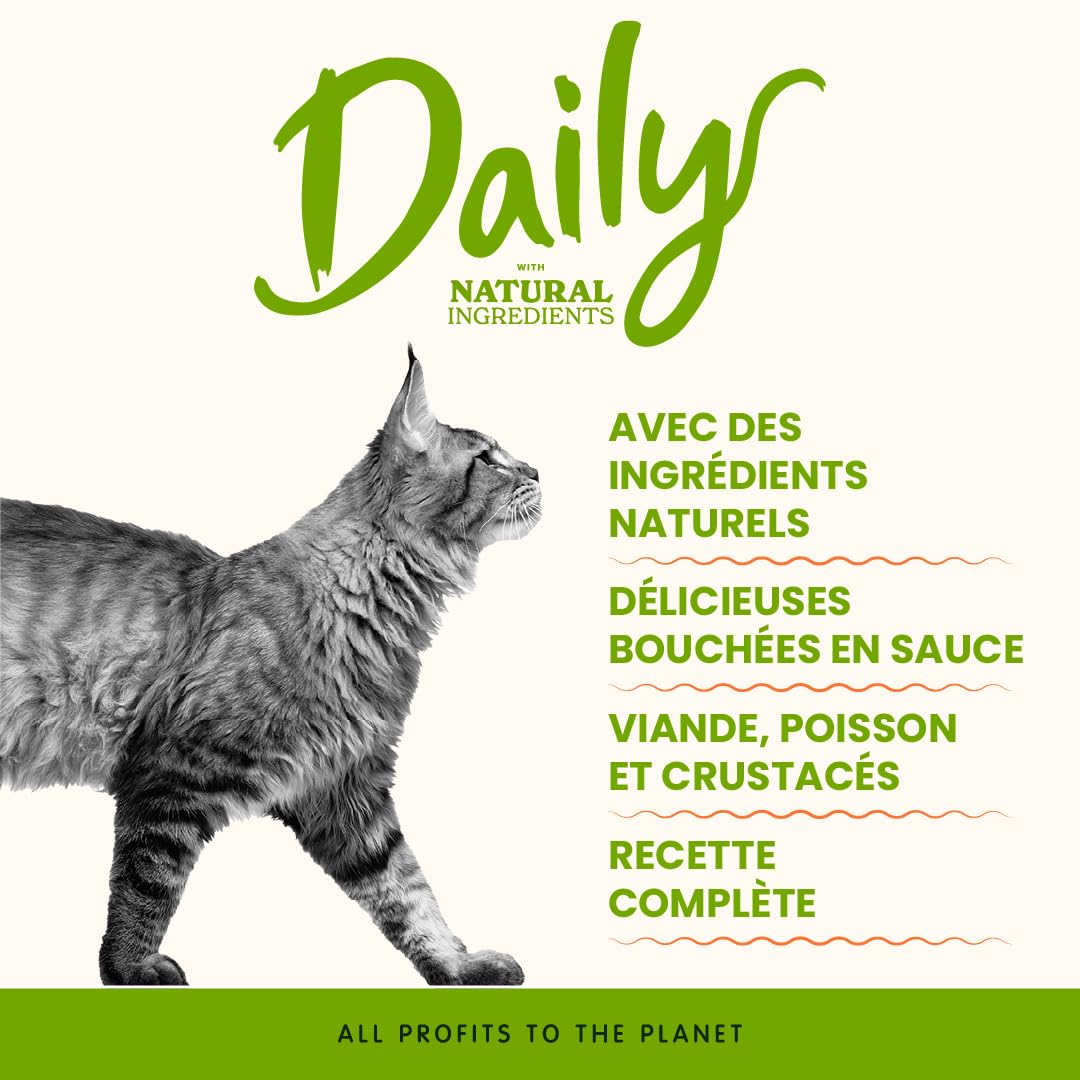 almo-nature-daily-nourriture-humide-pour-chat-morue-et-crevettes-30-x-70-g image 2