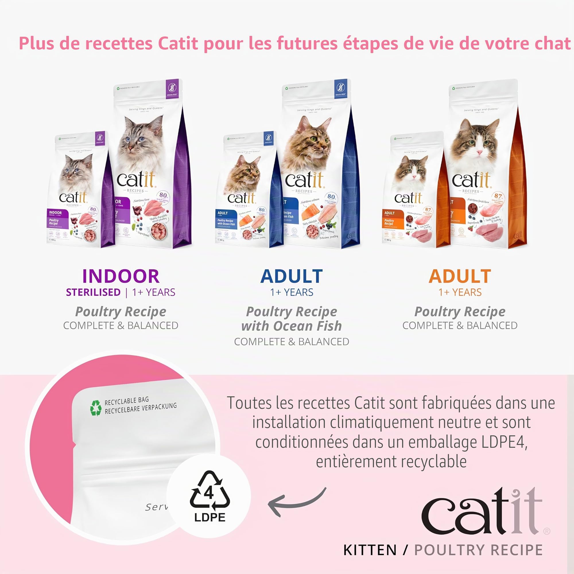 catit-recipes-kitten-croquettes-pour-chaton-400-g image 7