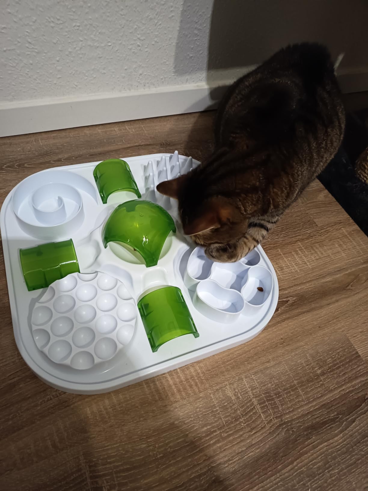 Mon chat est fan