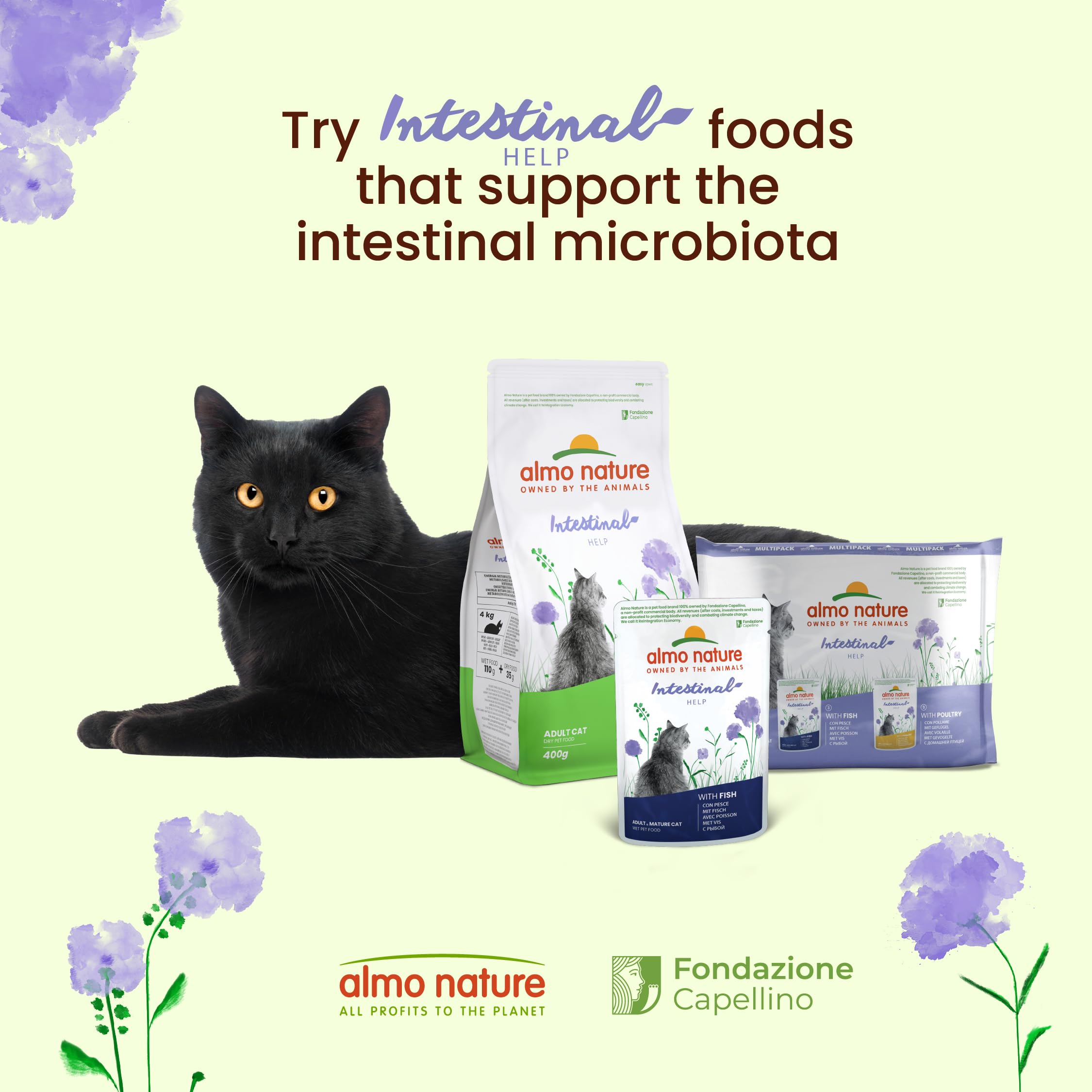 almo-nature-functional-intestinal-help-volaille-nourriture-humide-chat-30-x-70-g image 2