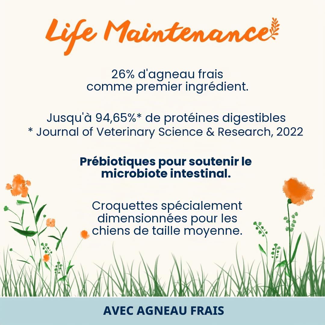 almo-nature-holistic-maintenance-m-agneau-frais-croquettes-chien-moyen-12-kg image 2