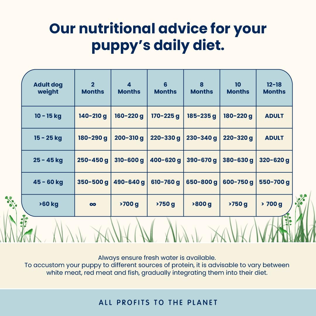 almo-nature-holistic-maintenance-m-puppy-poulet-frais-croquettes-chiot-moyen-12- image 3