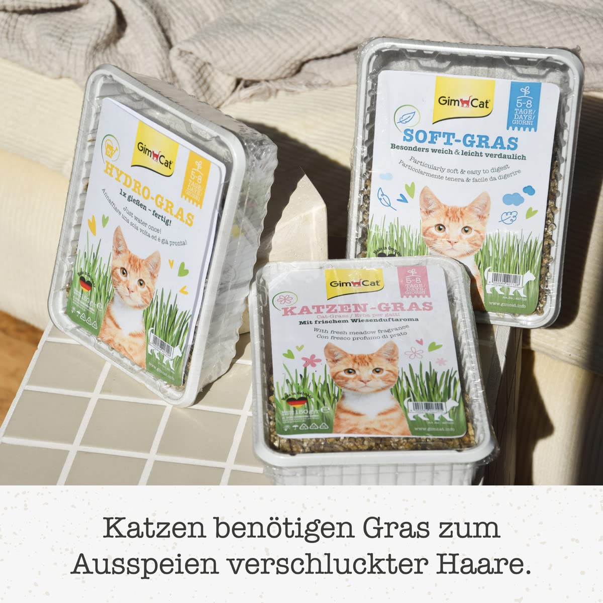 gimcat-hydro-gras-herbe-chat-fra-che-cultiver-150-g image 6