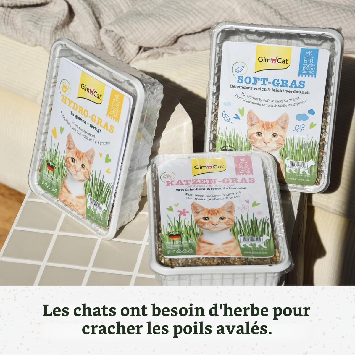 gimcat-soft-gras-herbe-chat-tendr-100-g image 7