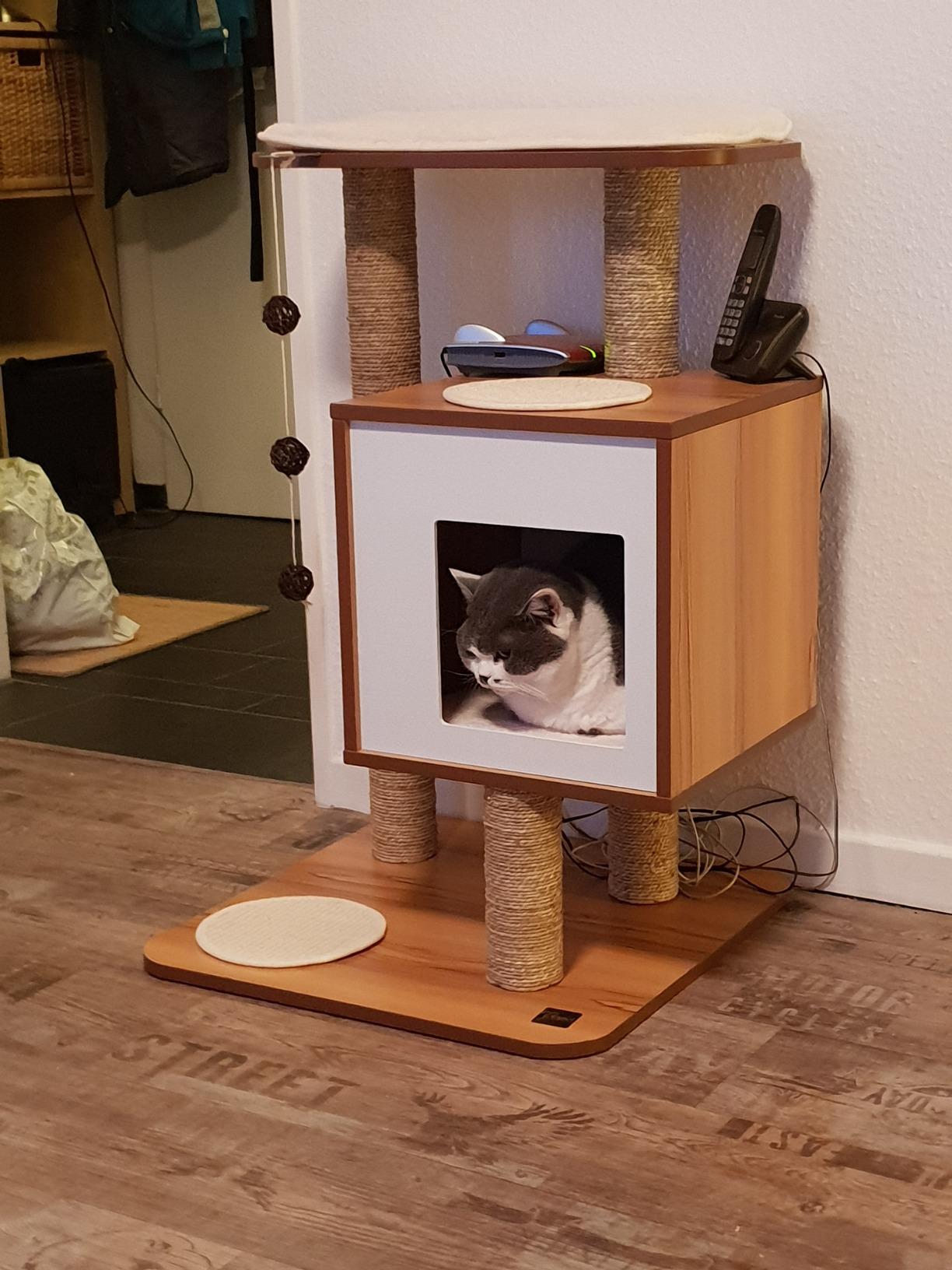 Adopté immédiatement