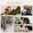pawhut-arbre-chat-mural-4-pi-ces-avec-hamac-plateformes-et-griffoir-beige image 8