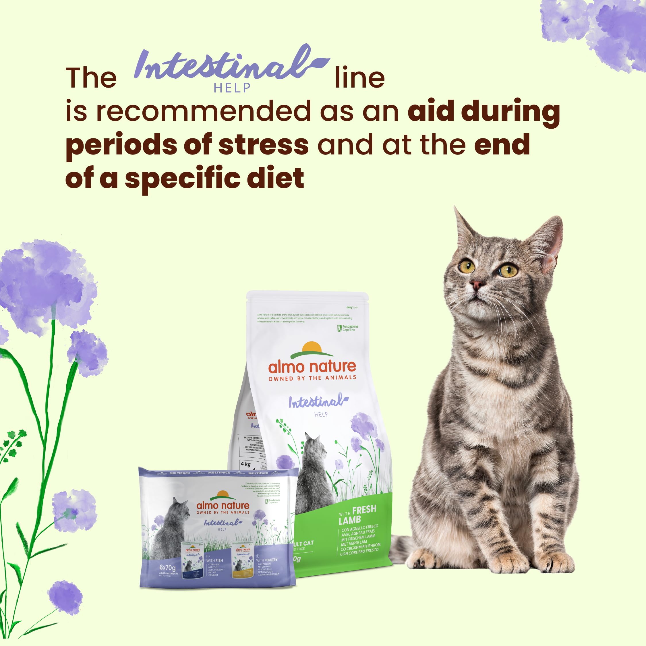 almo-nature-functional-intestinal-help-volaille-nourriture-humide-chat-30-x-70-g image 4