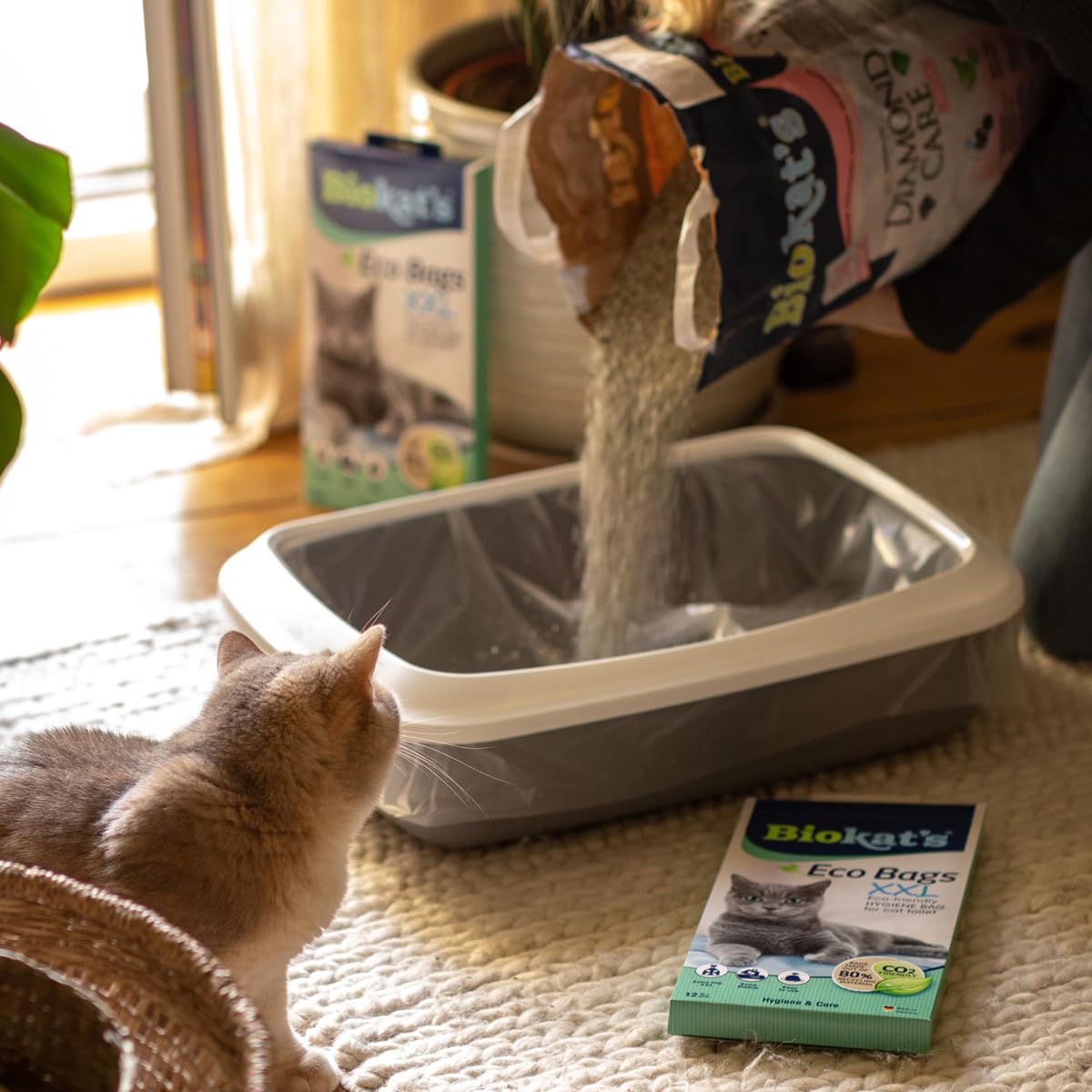 biokat-s-sacs-en-poly-thyl-ne-xxl-pour-bac-liti-re-12-sachets-hygi-niques-55-x-4 image 4