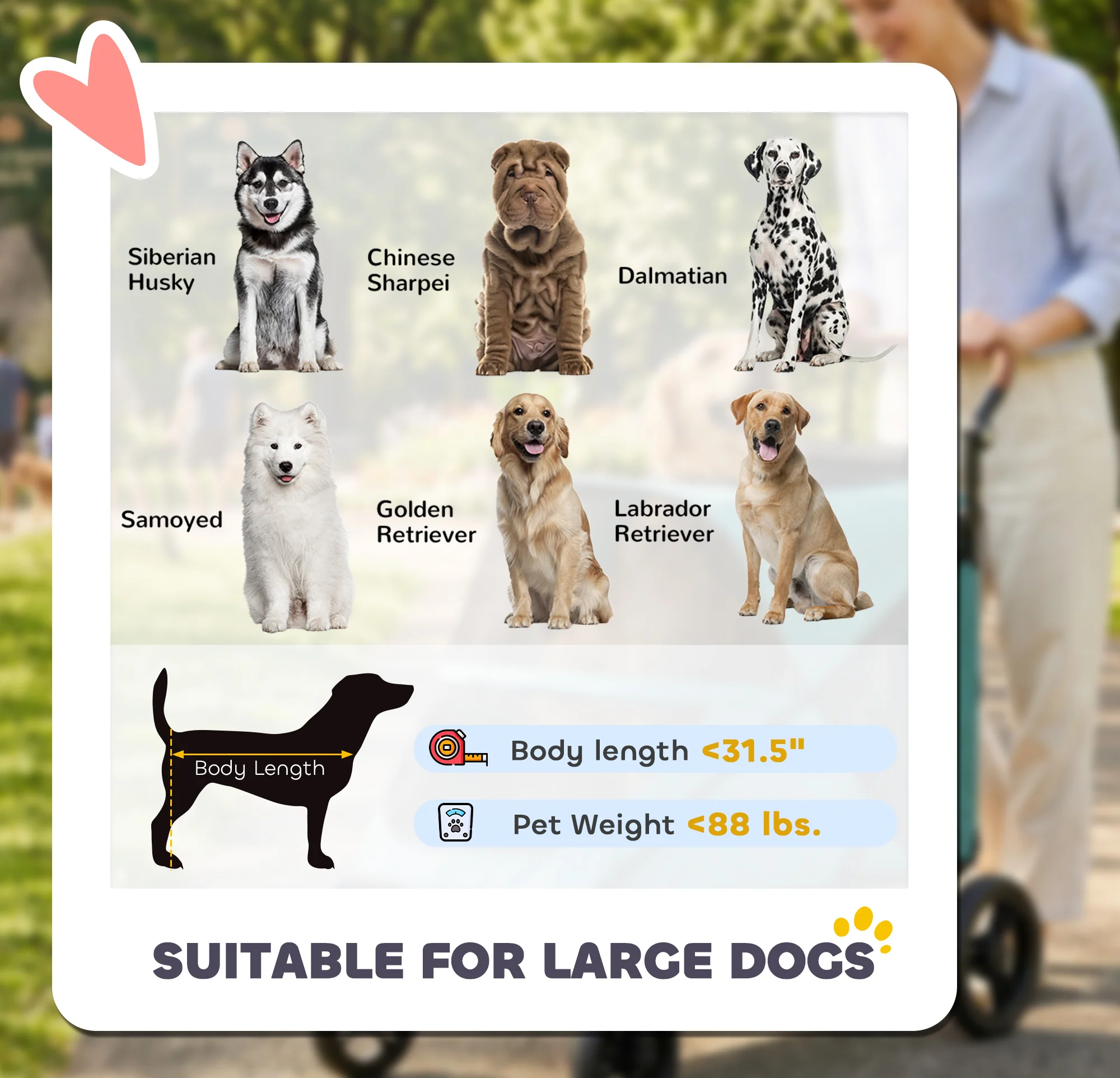 pawhut-poussette-pour-grand-chien-pliage-one-click-poign-e-r-glable-bleu image 6