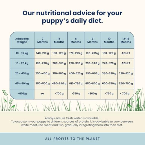 almo-nature-holistic-maintenance-m-puppy-poulet-frais-croquettes-chiot-moyen-12- image 7