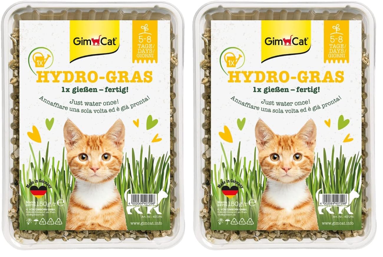 gimcat-hydro-gras-herbe-chat-fra-che-cultiver-150-g image 7