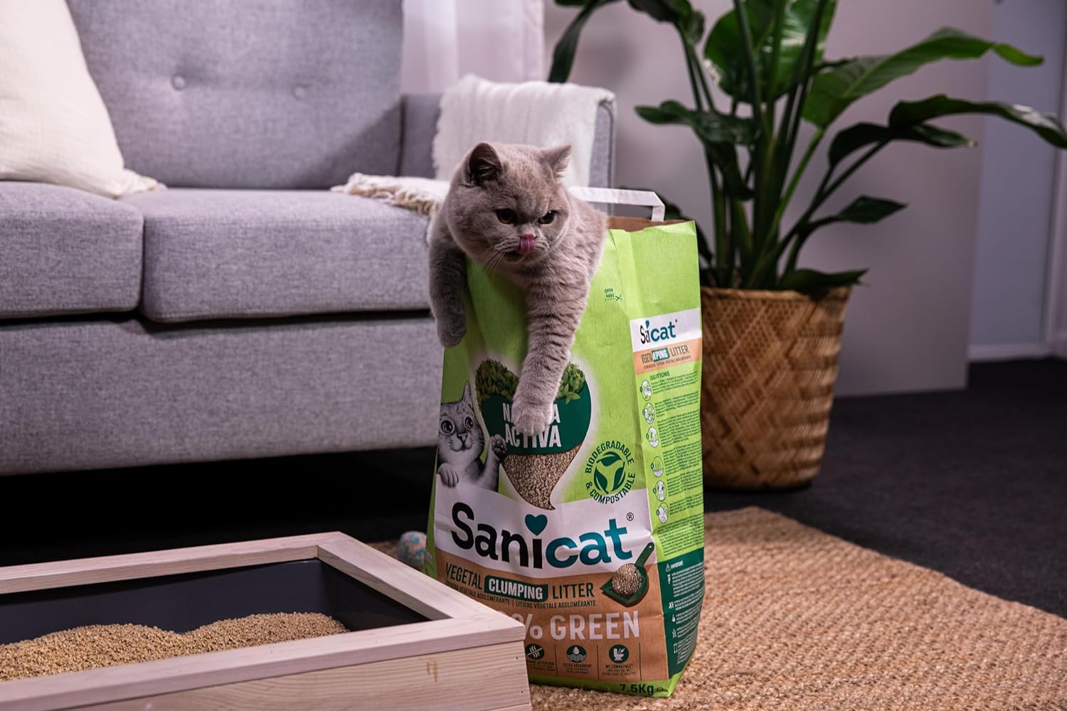 sanicat-natura-activa-100-green-liti-re-v-g-tale-agglom-rante-4-x-2-5-kg image 3