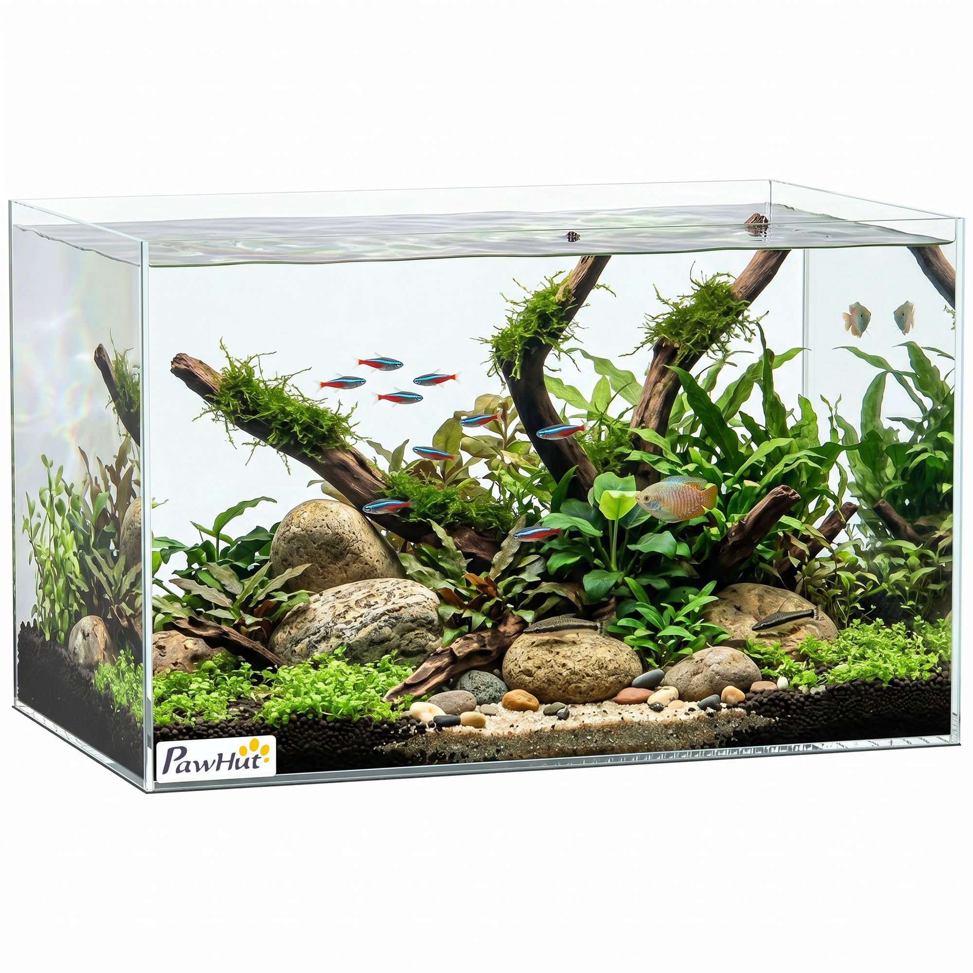 pawhut-aquarium-verre-24l-40x25x25cm-avec-tapis-de-protection-transparent image 1
