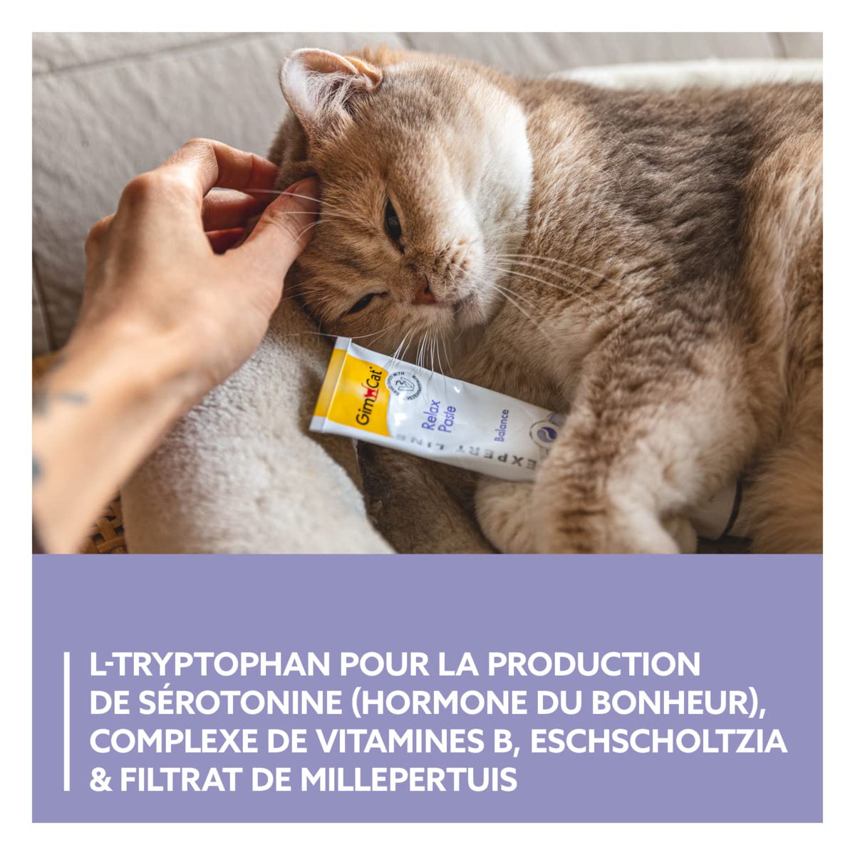 gimcat-expert-line-p-te-relax-50-g image 3