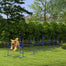 pawhut-kit-d-agilit-chien-6-haies-de-saut-r-glables-bleu image 3