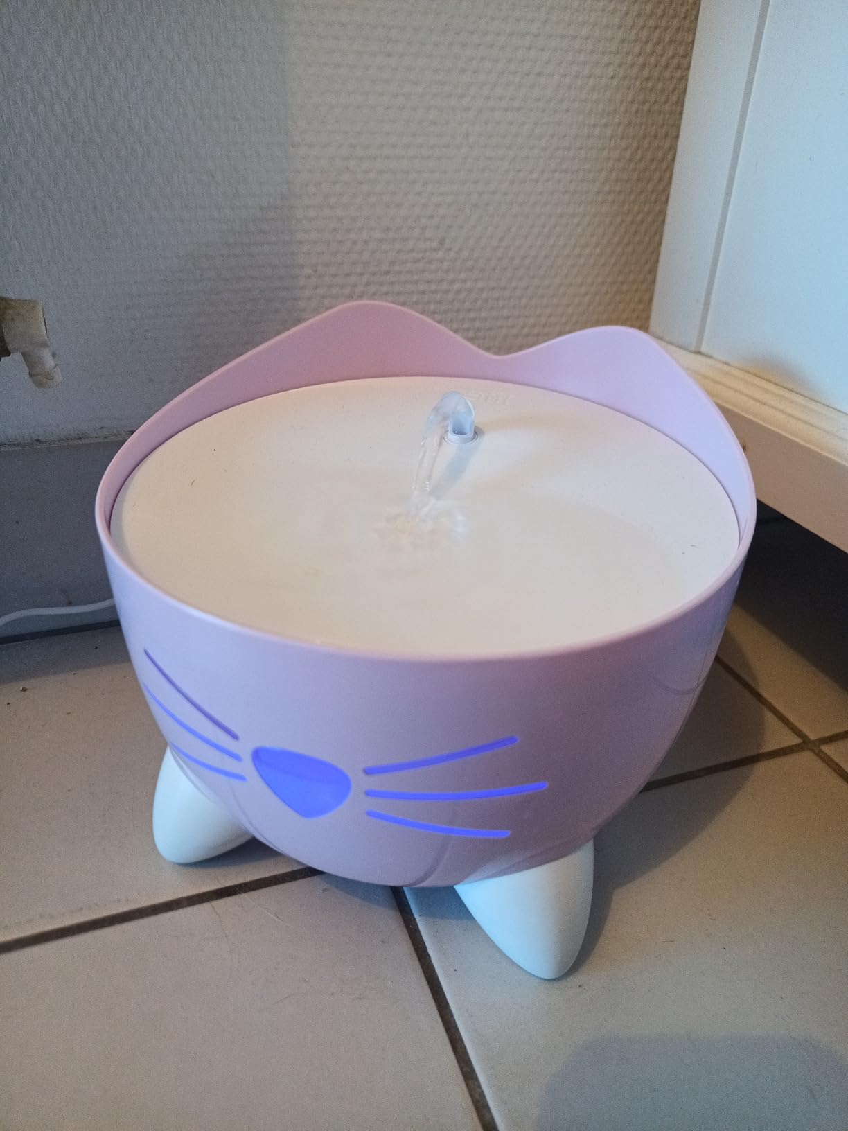 Idéale pour deux chats