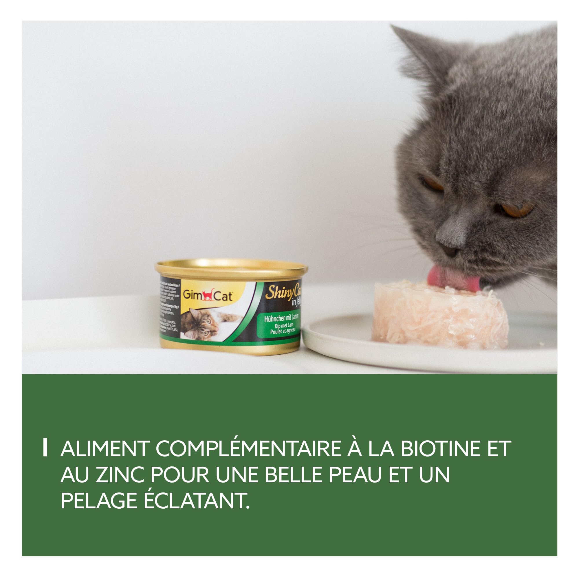 gimcat-shinycat-duo-thon-aux-courgettes-aliment-compl-mentaire-pour-chat-24-bo-t image 3
