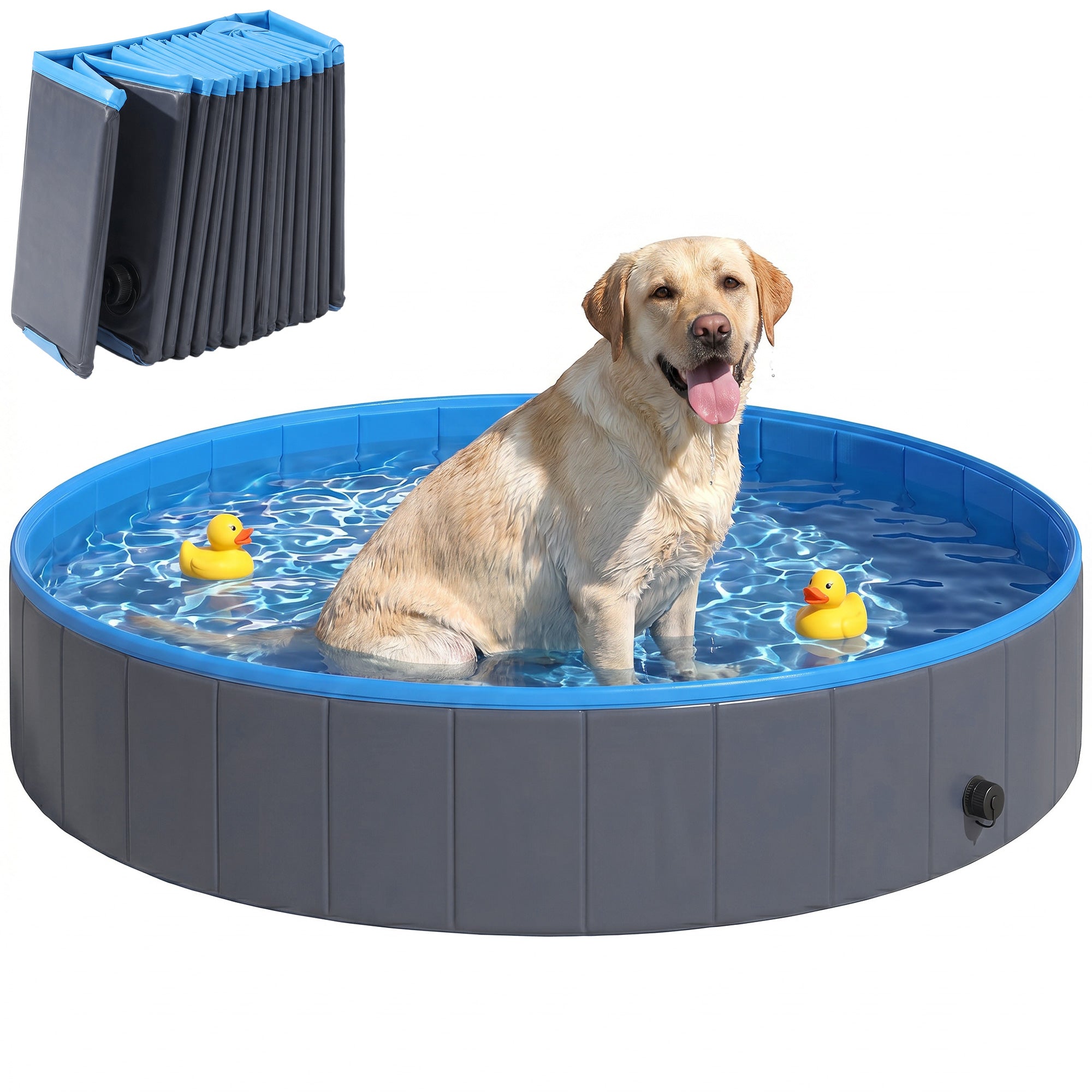 pawhut-piscine-pliable-pour-chien-160-x-30-cm-bleu-et-gris-fonc-avec-adaptateur- image 1