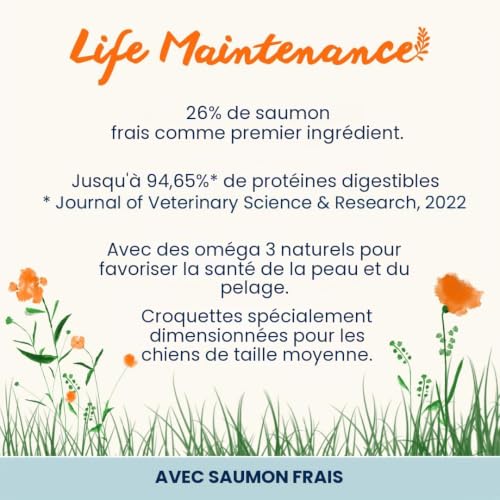 almo-nature-holistic-maintenance-medium-saumon-frais-croquettes-chien-moyen-12-k image 7