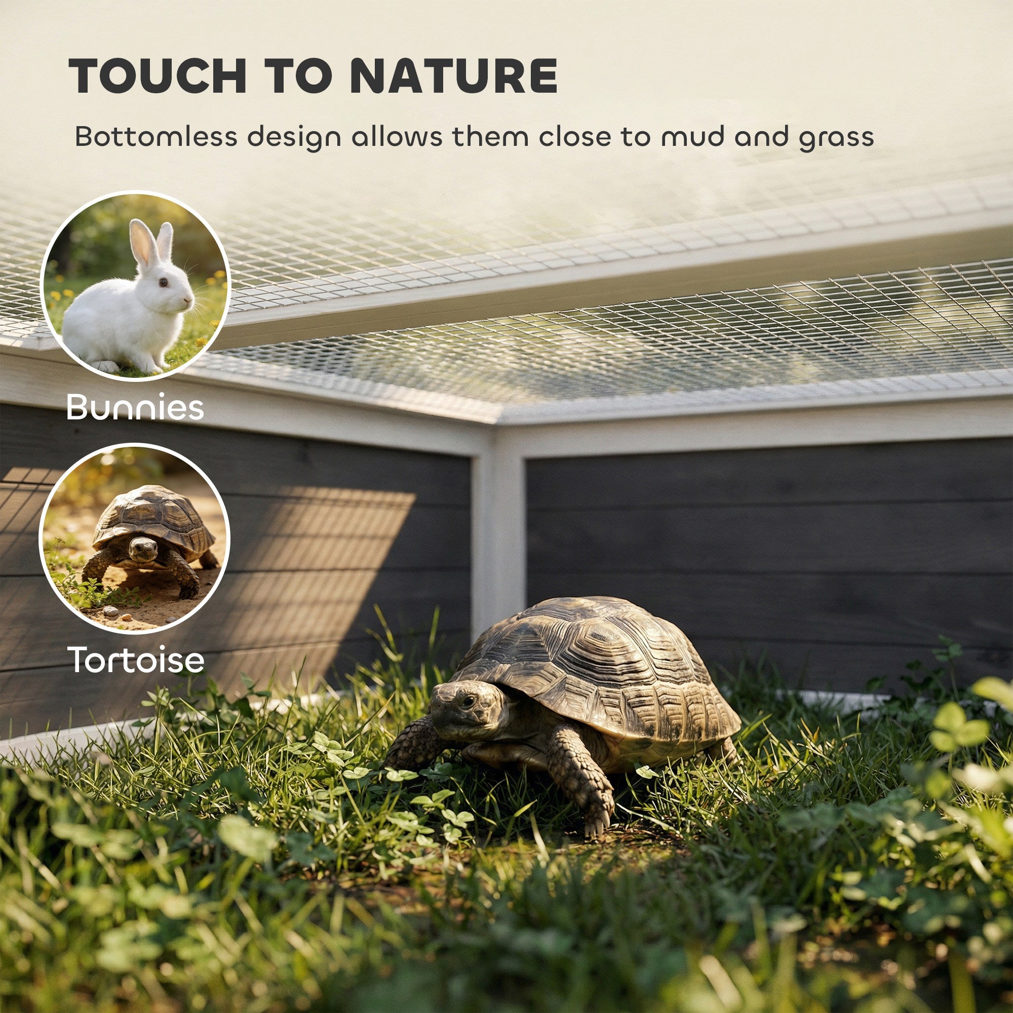pawhut-enclos-tortue-ext-rieur-avec-parc-fen-tre-transparente-et-toit-ouvrant-gr image 7