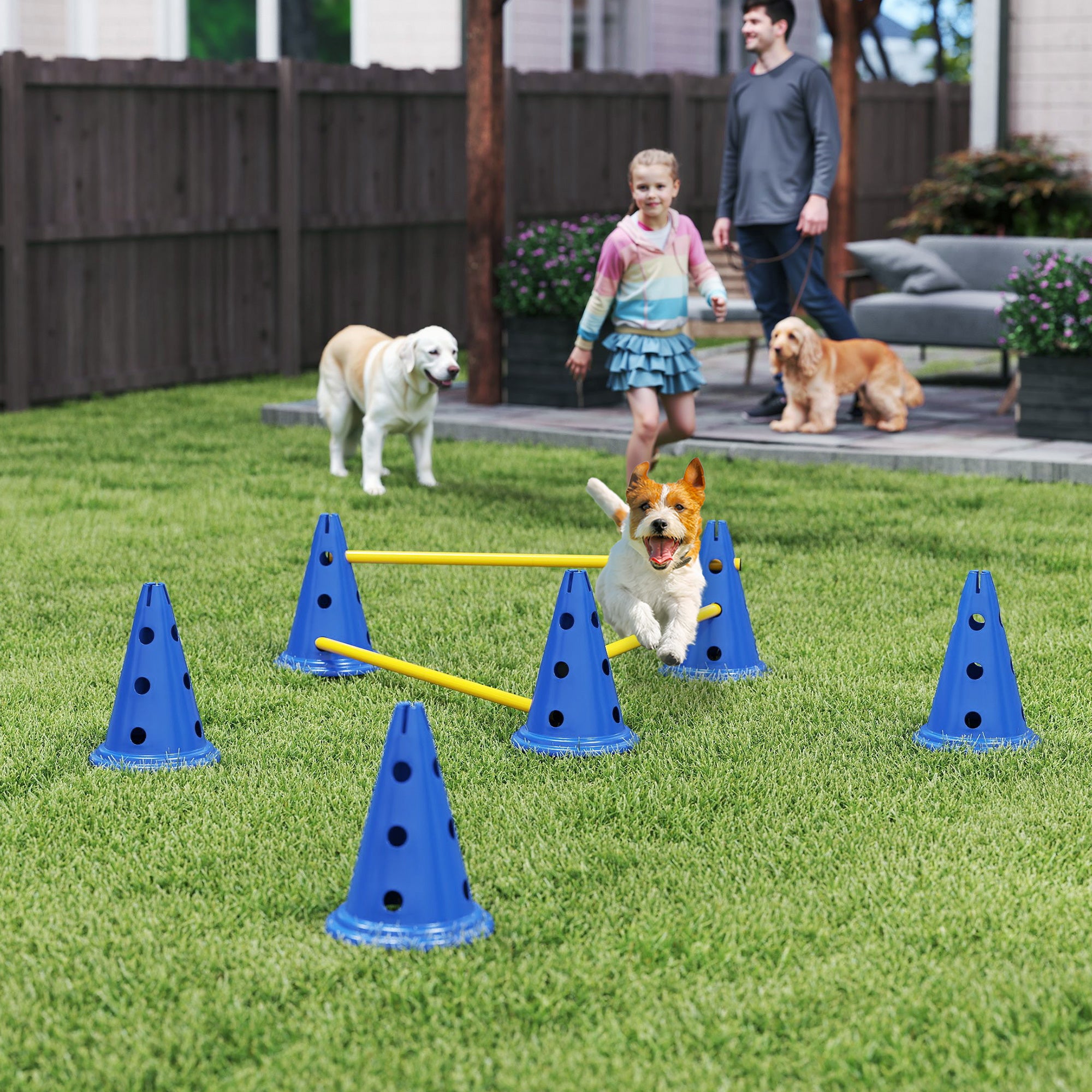 pawhut-kit-d-agilit-pour-chien-ajustable-avec-sac-de-transport-bleu image 3