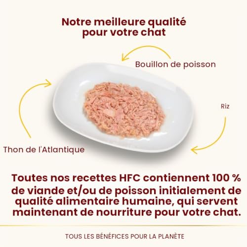 almo-nature-hfc-natural-thon-de-l-atlantique-nourriture-humide-pour-chat-adulte- image 7