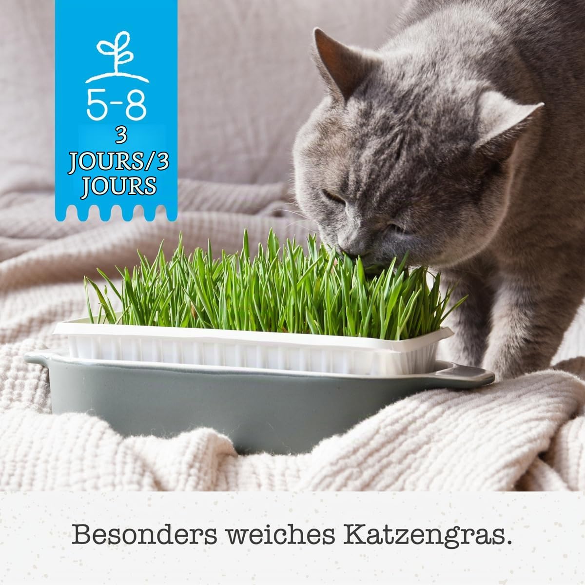 gimcat-soft-gras-herbe-chat-tendr-100-g image 2