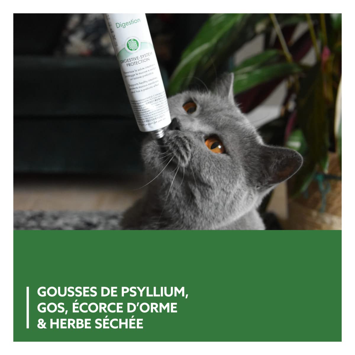 gimcat-expert-line-p-te-gastro-intestinal-pour-chat-50-g image 4