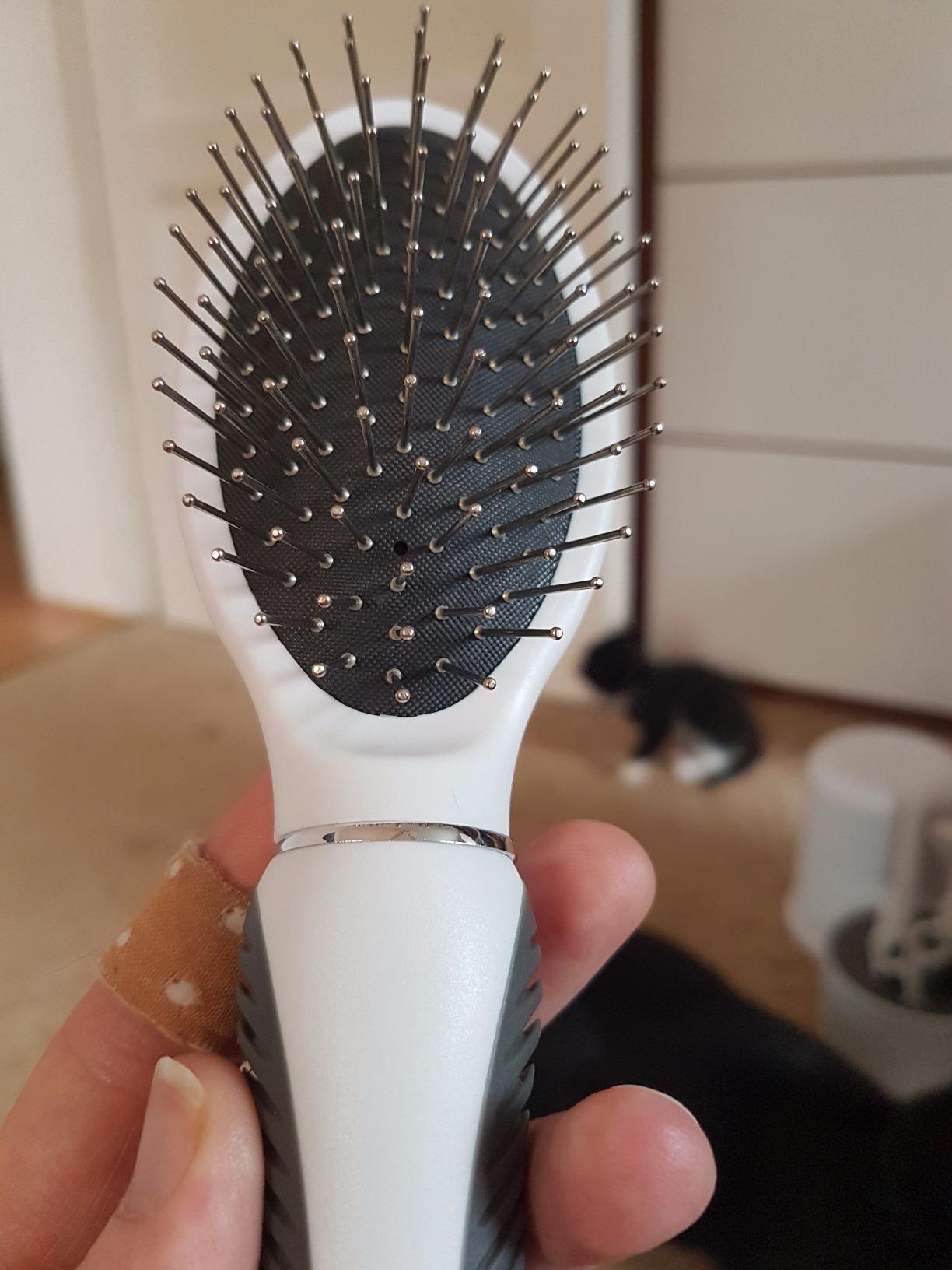 Enfin un brossage sans guerre
