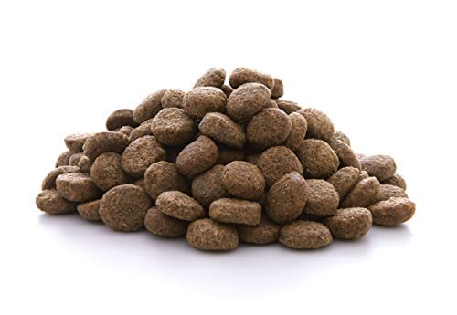 almo-nature-hfc-adult-m-l-saumon-frais-et-riz-croquettes-chien-moyen-grand image 8