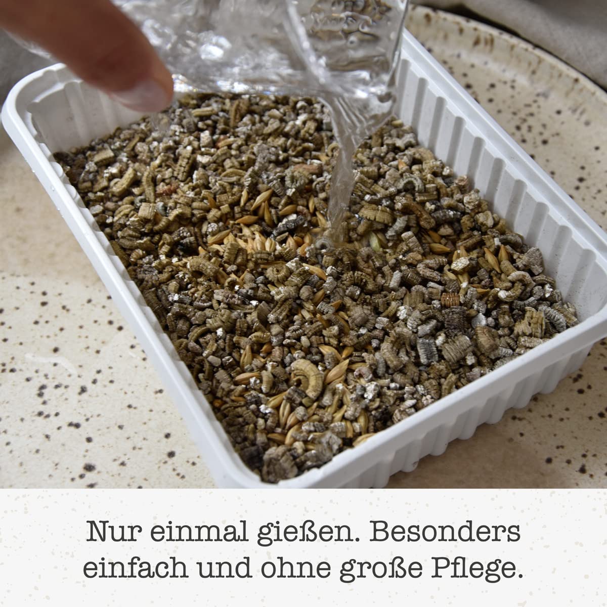 gimcat-hydro-gras-herbe-chat-fra-che-cultiver-150-g image 4