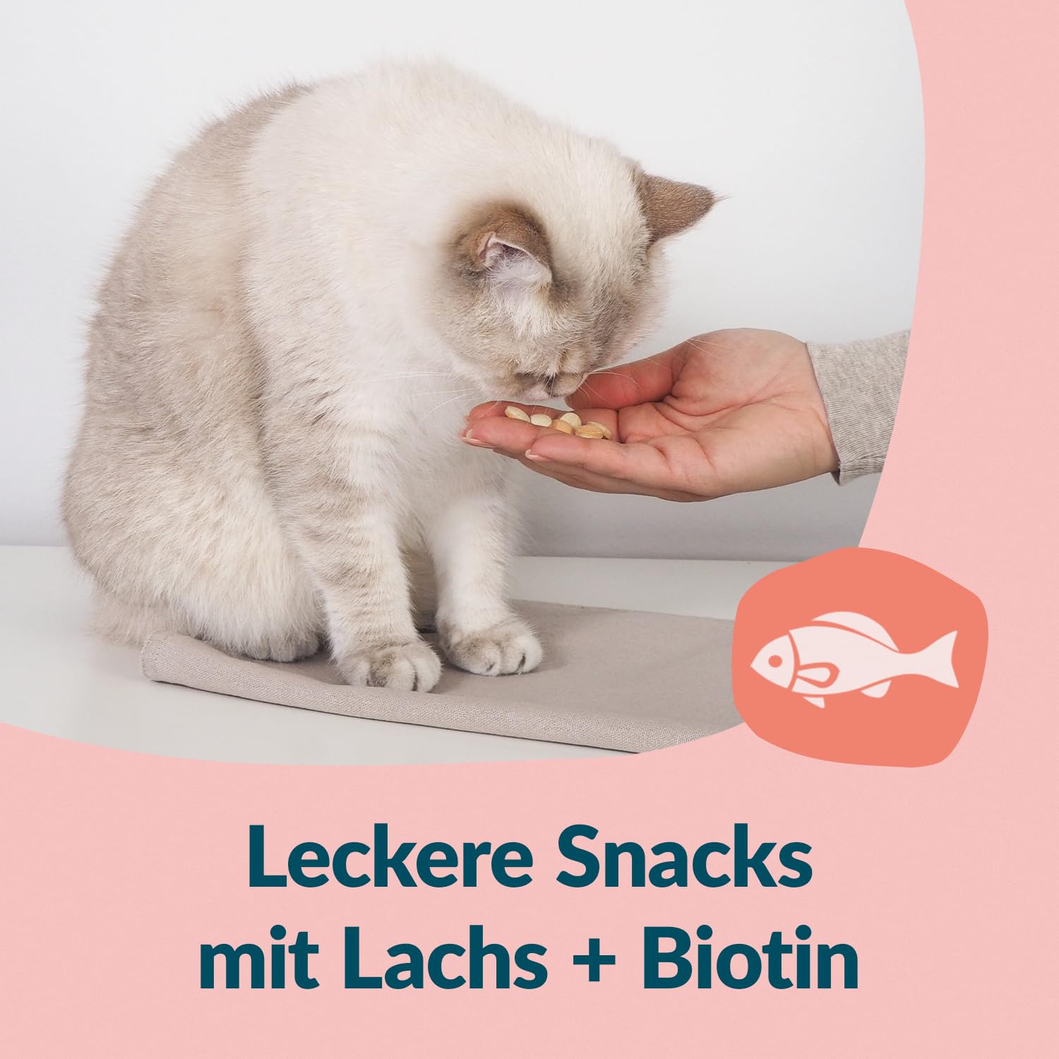 gimcat-nutri-biotine-friandise-chat-saumon-425-g image 4