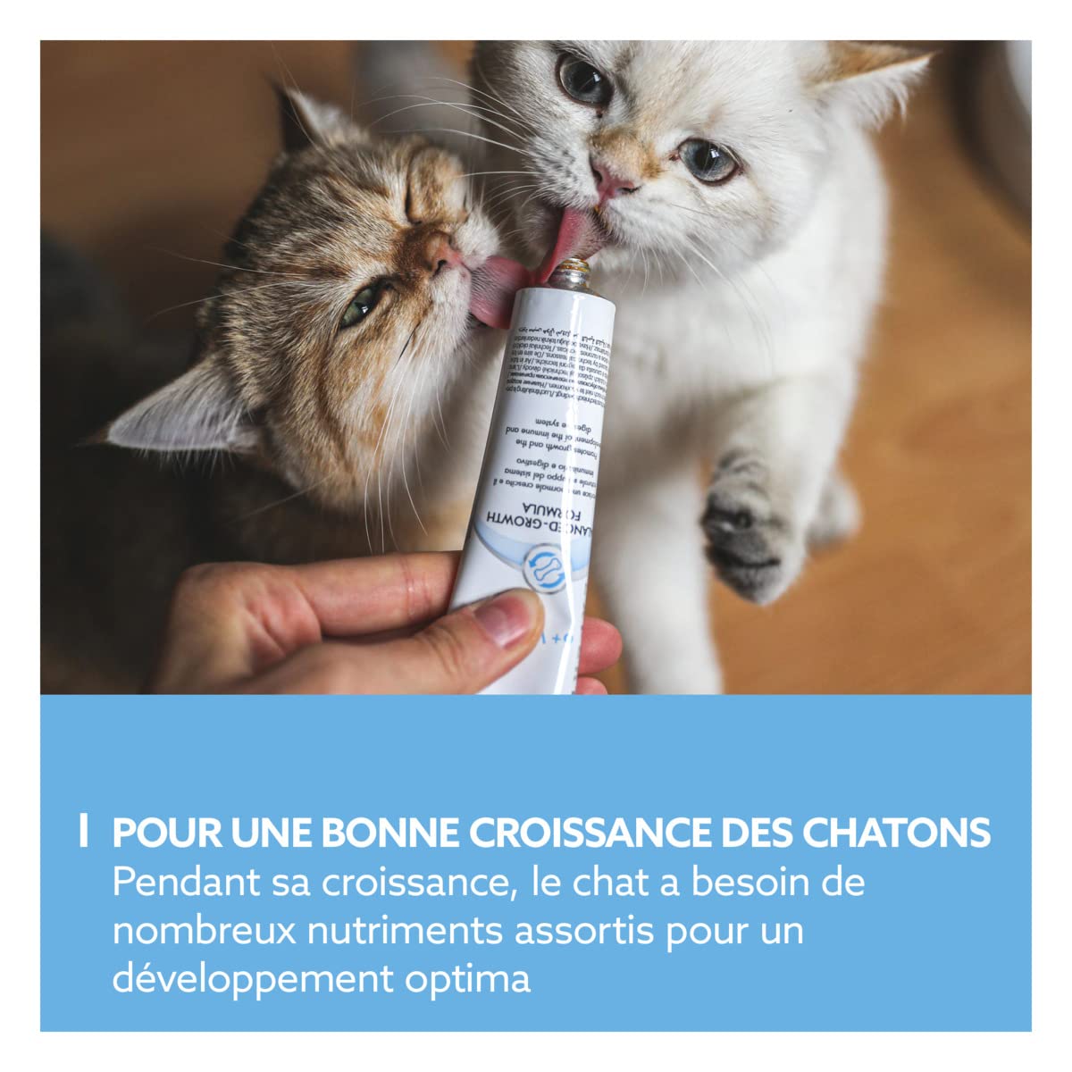 gimcat-expert-line-p-te-kitten-croissance-chaton-50-g image 3