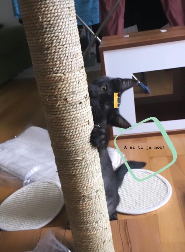 Idéal petit appartement