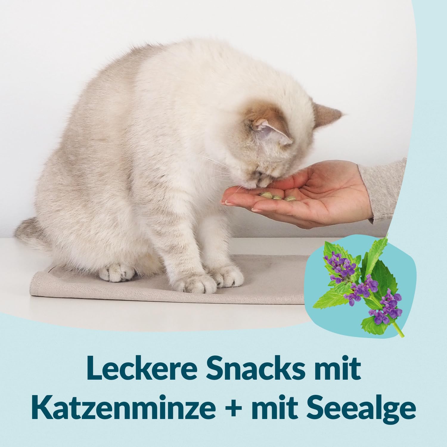 gimcat-nutri-dental-bouch-es-herbe-chat-pour-hygi-ne-dentaire-425-g image 4