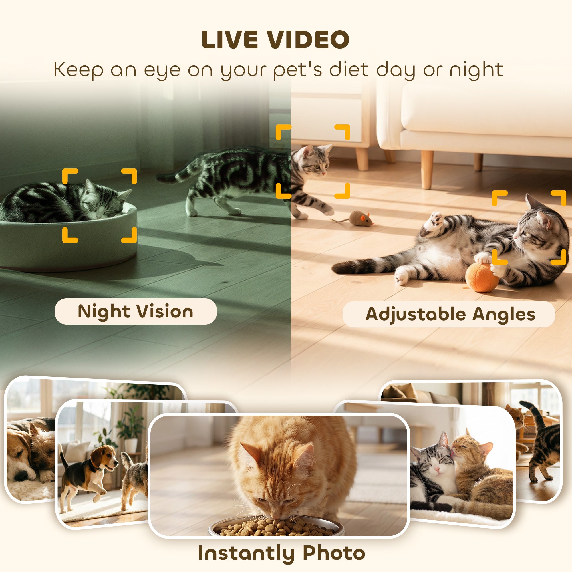 pawhut-distributeur-croquettes-chat-automatique-avec-cam-ra-4l image 6