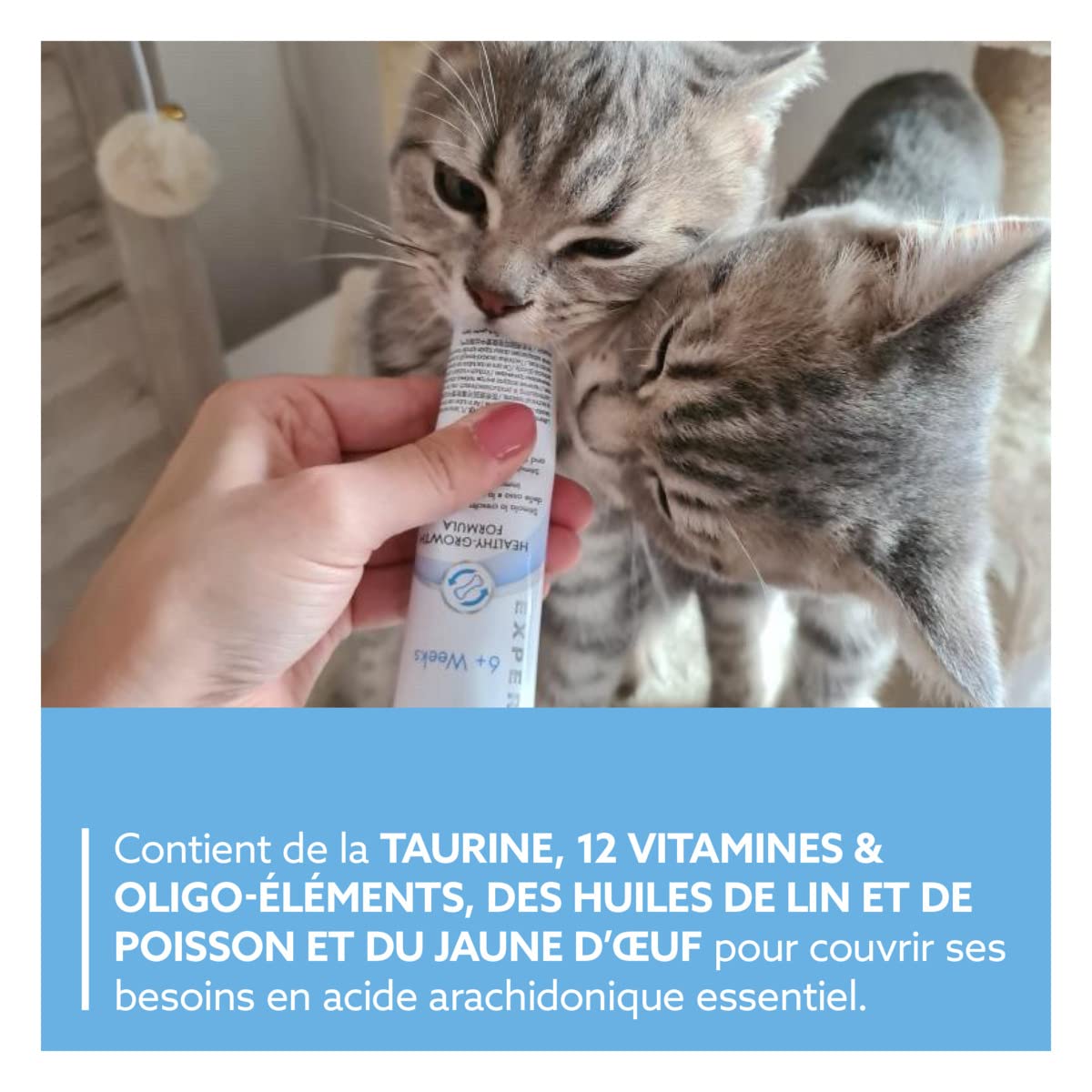 gimcat-expert-line-p-te-kitten-croissance-chaton-50-g image 4