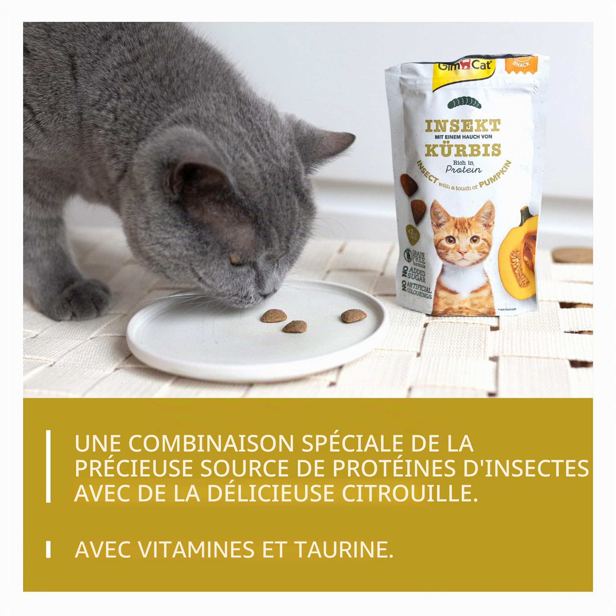 gimcat-crunchy-snacks-insecte-la-citrouille-friandise-croustillante-pour-chat-sa image 3