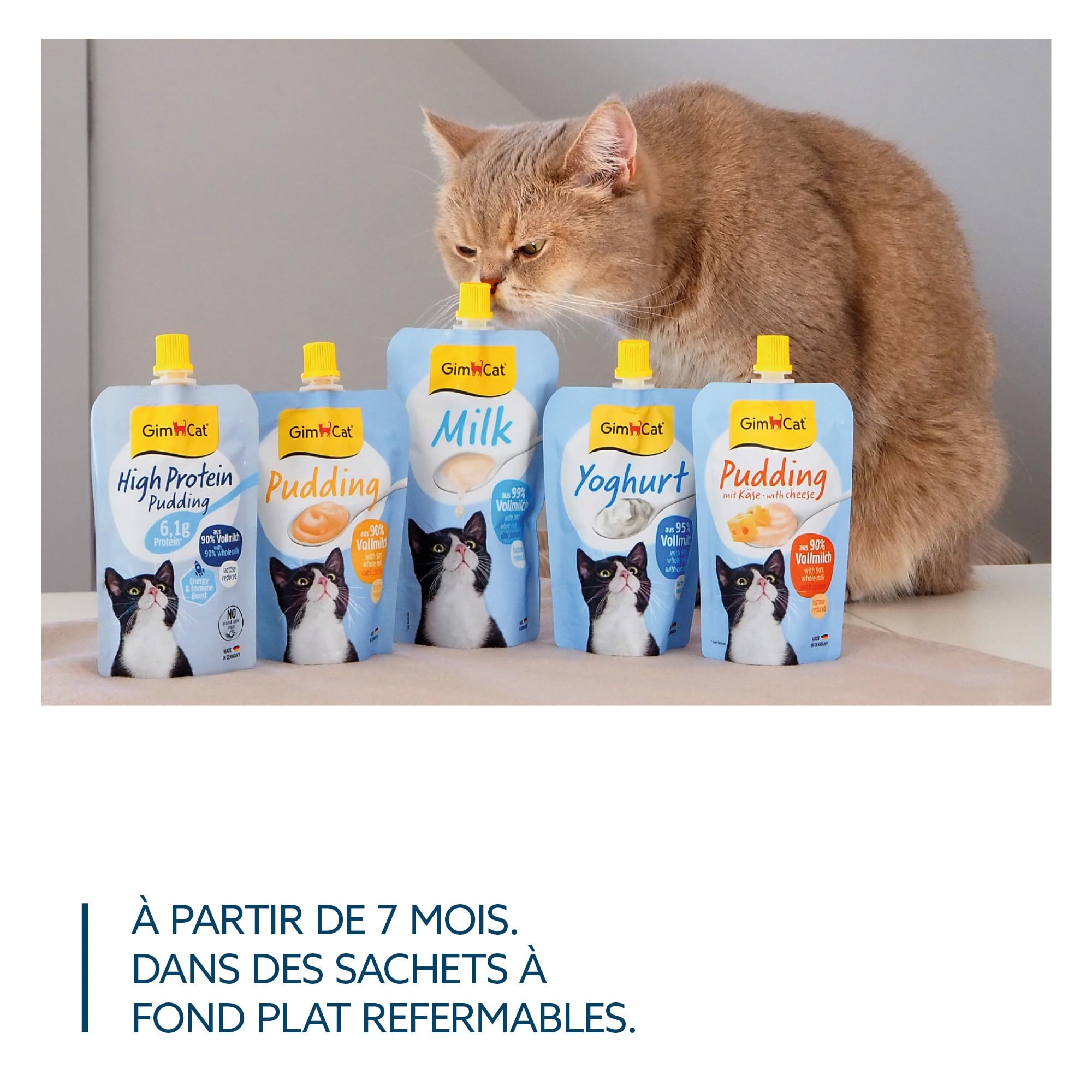 gimcat-high-protein-pudding-snack-prot-in-pour-chat-100-g image 5