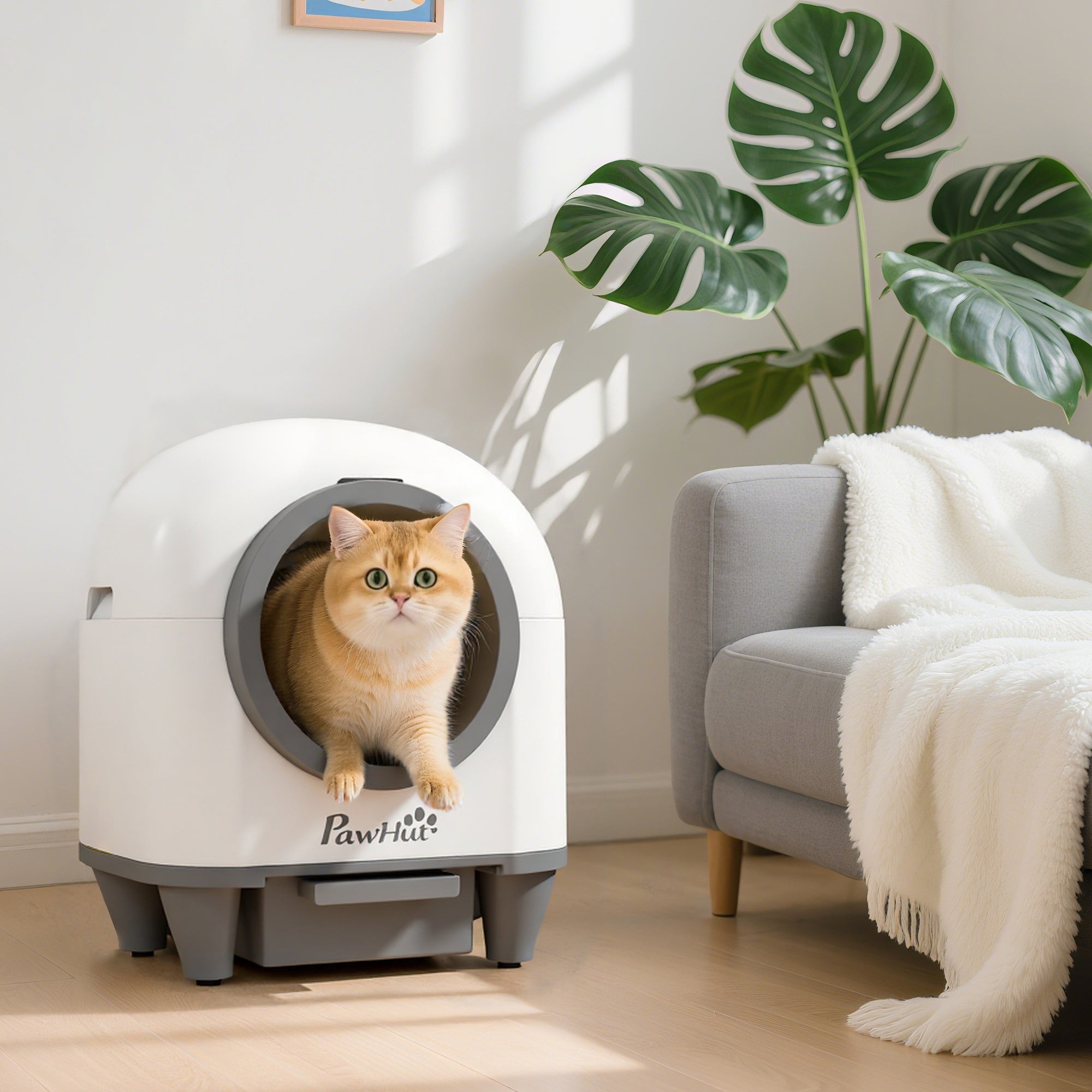 pawhut-bac-liti-re-autonettoyant-80l-connect-avec-application-multi-chats image 4
