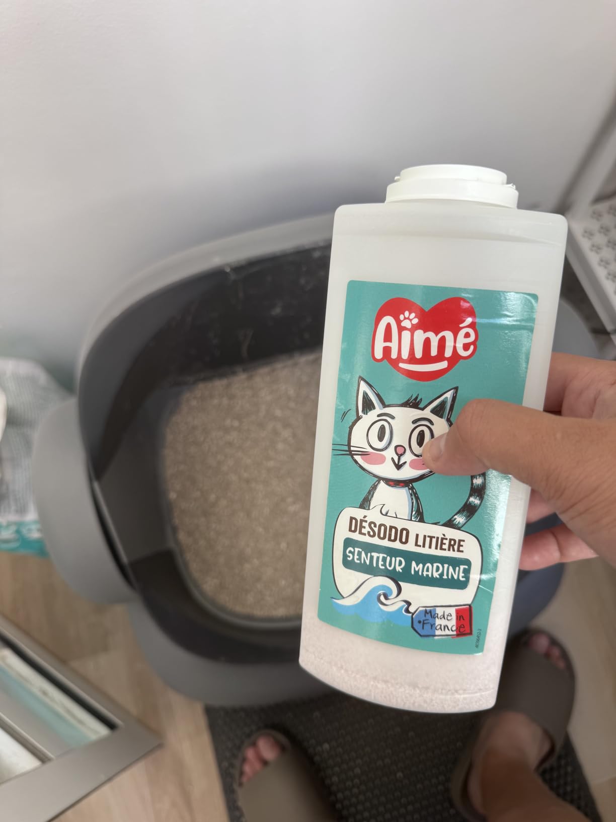 Adoptée par mes 3 chats