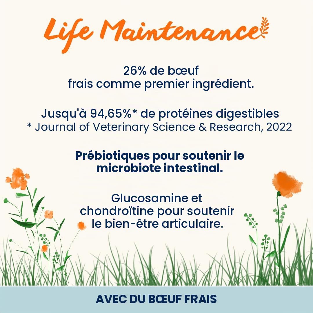 almo-nature-holistic-maintenance-l-dog-croquettes-au-boeuf-frais-pour-chien-gran image 2