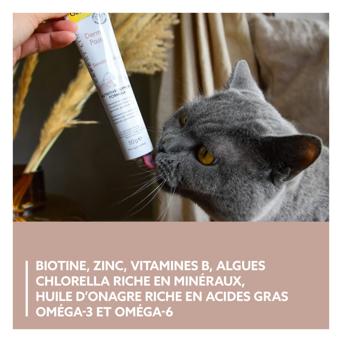 gimcat-expert-line-p-te-derma-pour-chat-50-g image 4