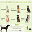 pawhut-tente-pop-up-pour-grands-chiens-avec-sac-vert image 6